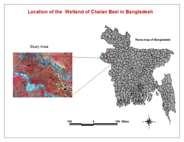 Chalan Beel Overview image